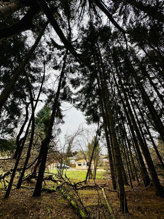 Ferienhaus Biber Godendorf  Exteriér fotografie